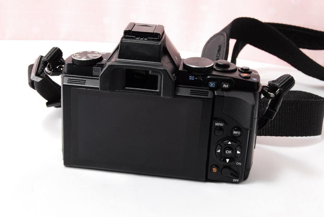 〓シャッター数3125回〓オリンパス E-M5 ミラーレス 14-42mm Ⅱ