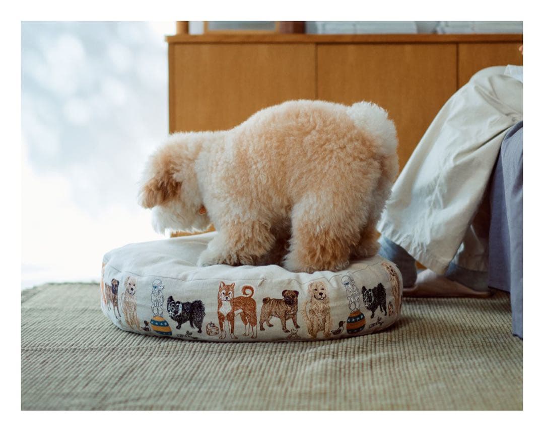 CORAL＆TUSK コーラル＆タスク Foinu 犬用 ベッドカバー
