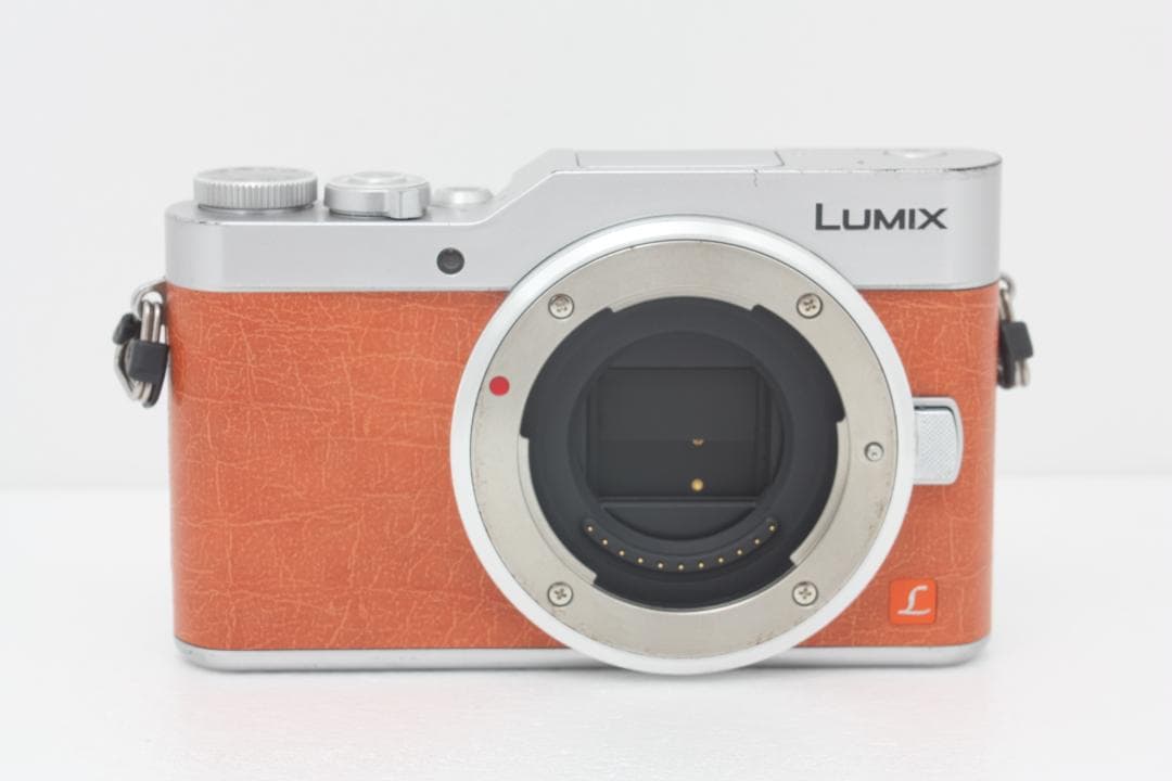 パナソニック Panasonic LUMIX DC-GF9 ボディ #375a