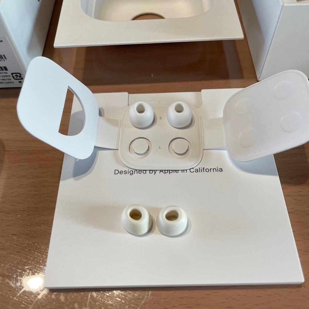 Apple AirPods pro (第1世代) 本体