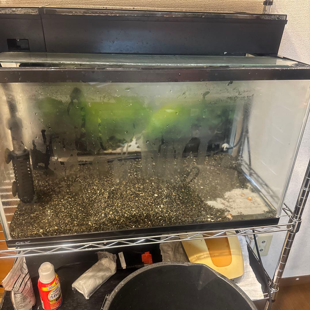 60センチ水槽 ４点セット　引取り