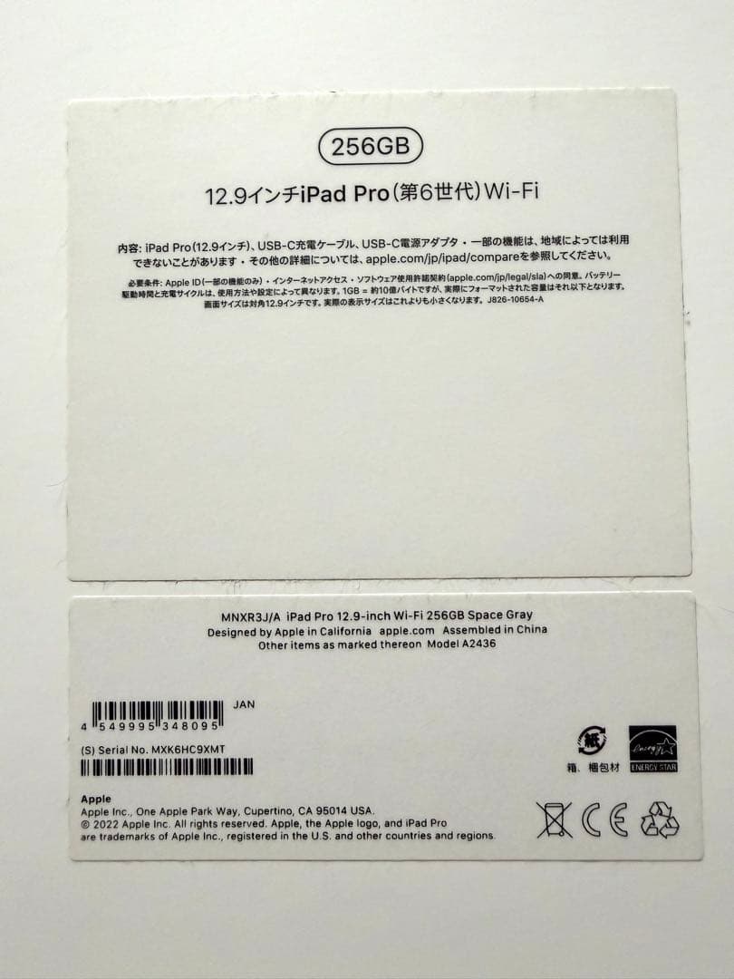 iPad Pro 12.9インチ 第6世代 256GB+Apple Pencil