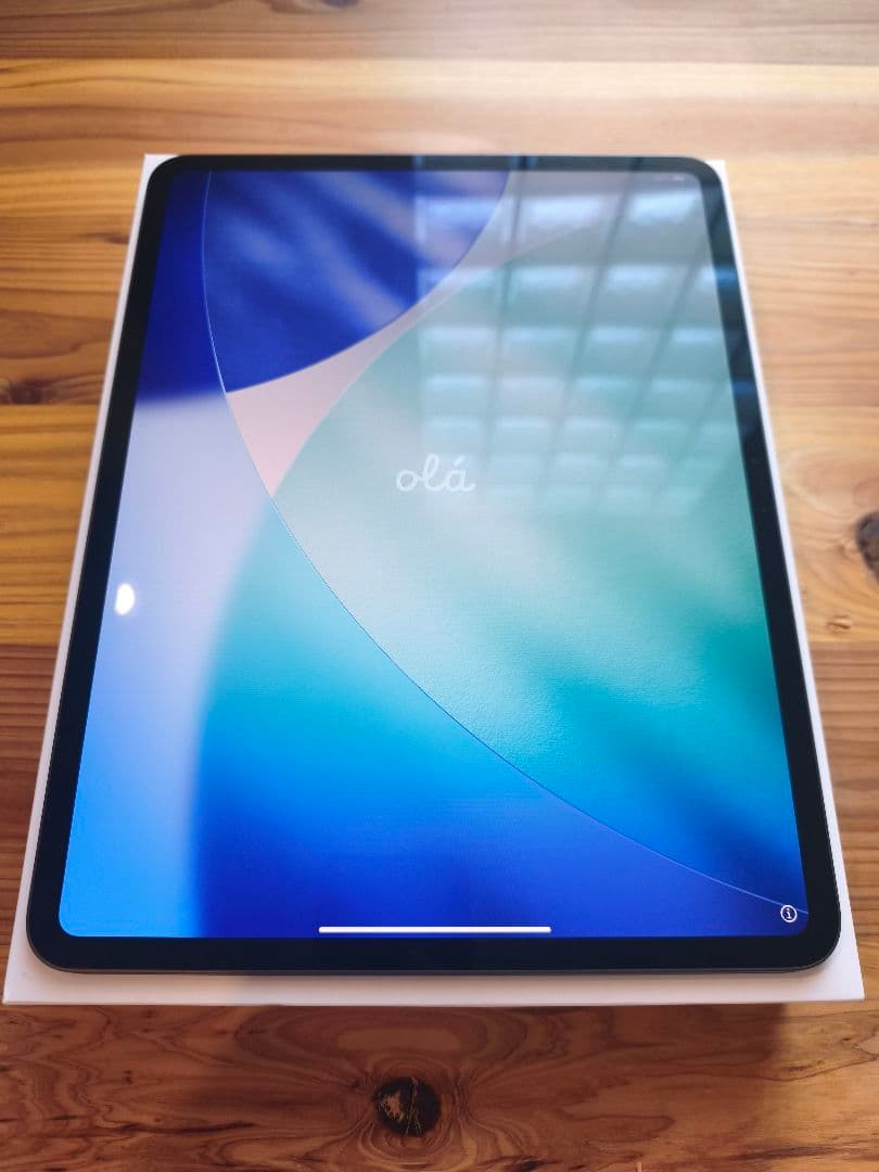 極美品 iPad Pro 13インチ M4 スペースブラック 256GB おまけ