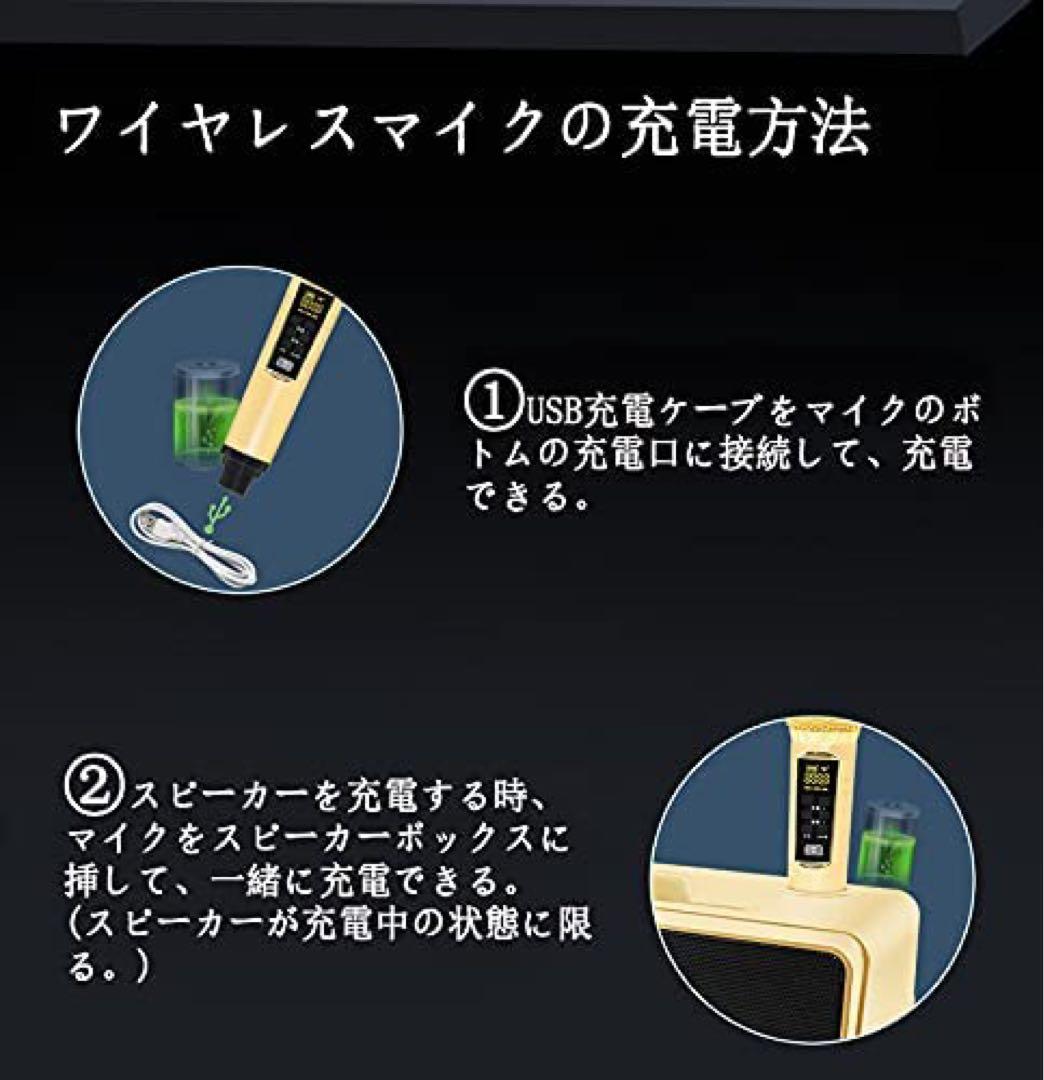 ★【美品】SDRD製 家庭用スピーカー付きカラオケ機器SD-309 サービス品付