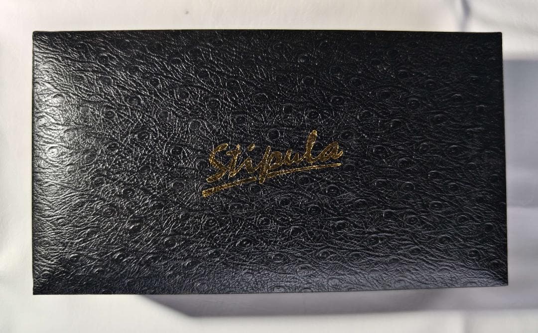 Stipula スティピュラ 万年筆 I castoni シトロン【中古】