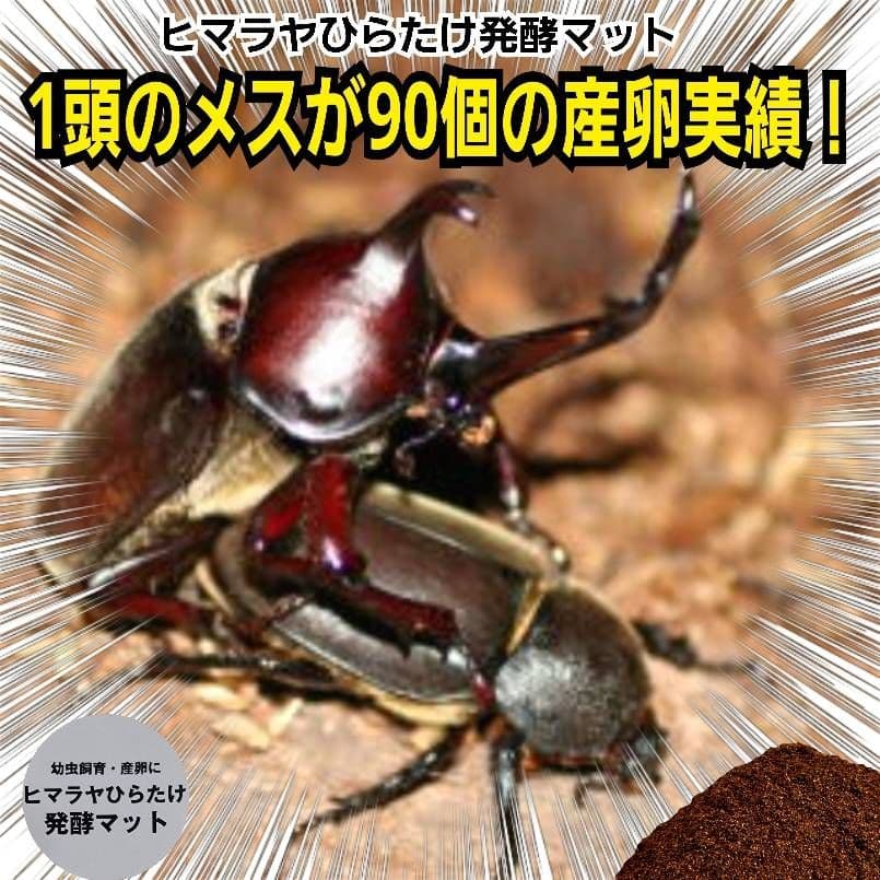 カブトムシ幼虫が丸々太ります！栄養価抜群の発酵マット【100L】産卵にもお薦め！