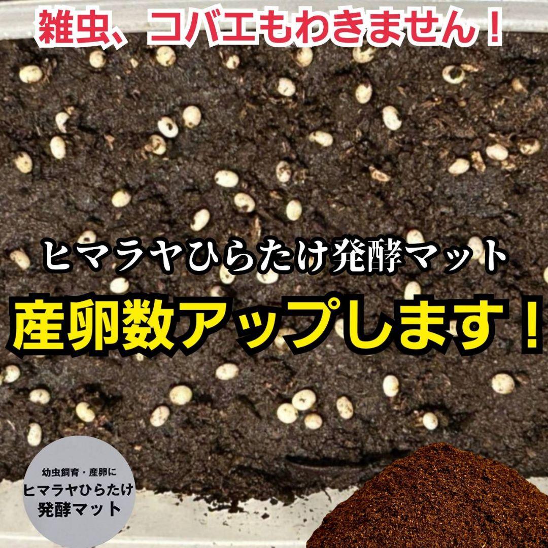カブトムシ幼虫が丸々太ります！栄養価抜群の発酵マット【100L】産卵にもお薦め！