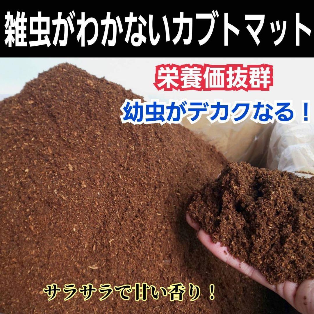 カブトムシ幼虫が丸々太ります！栄養価抜群の発酵マット【100L】産卵にもお薦め！