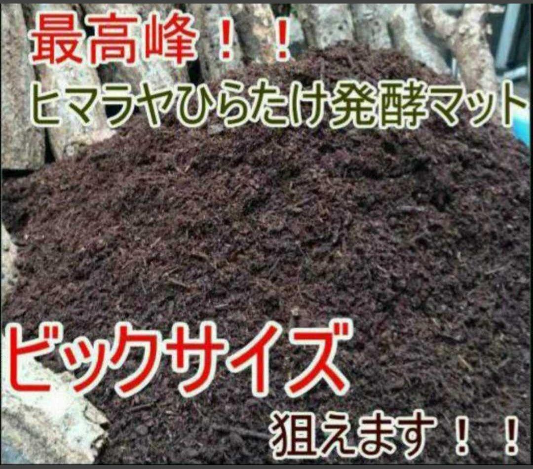 カブトムシ幼虫が丸々太ります！栄養価抜群の発酵マット【100L】産卵にもお薦め！