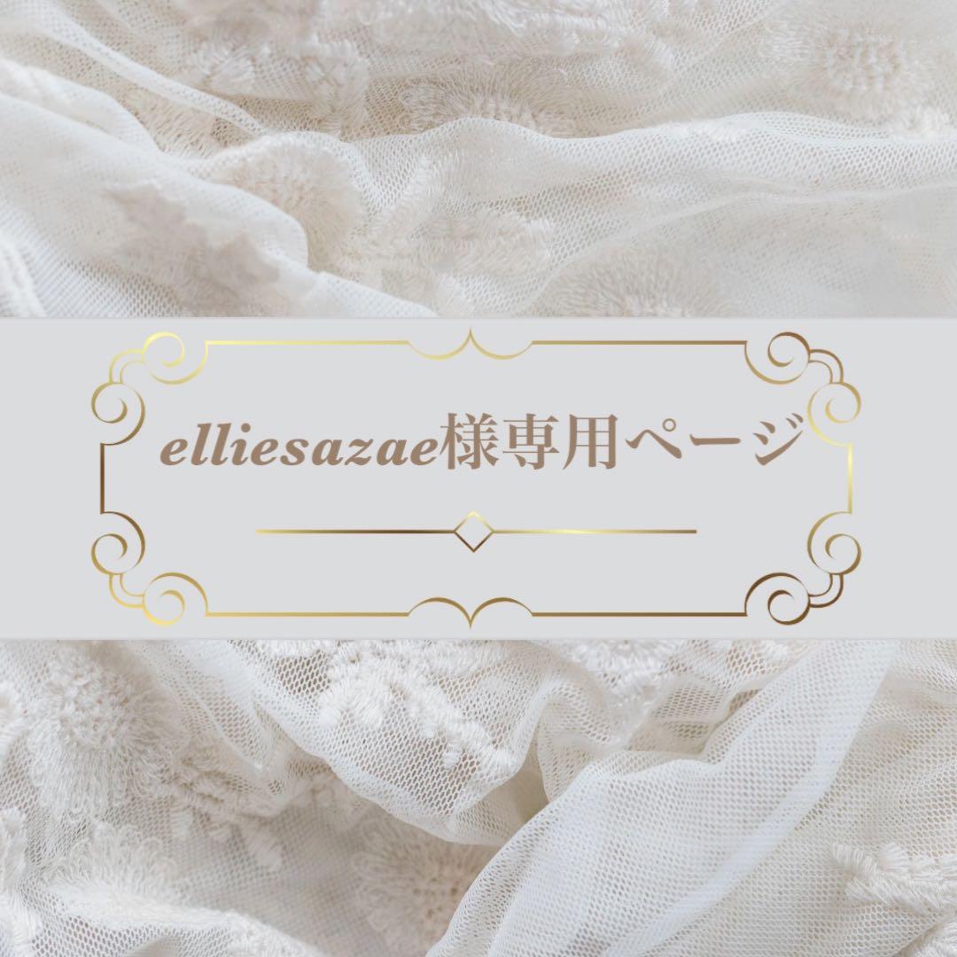 elliesazaeページ