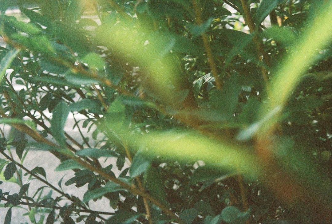 【ジャンク】CONTAX TVS シルバー フィルムカメラ