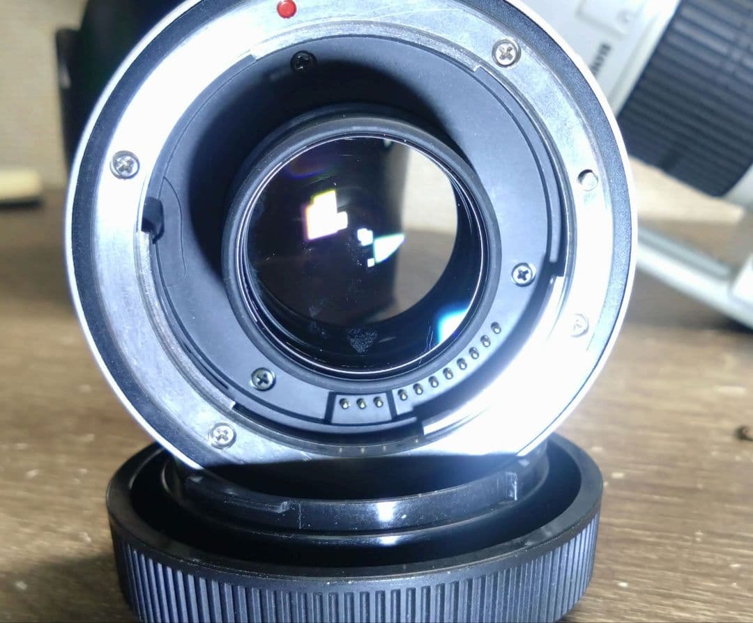 Canon70-200mm f/2.8L USM ＆テレコン1.4×II