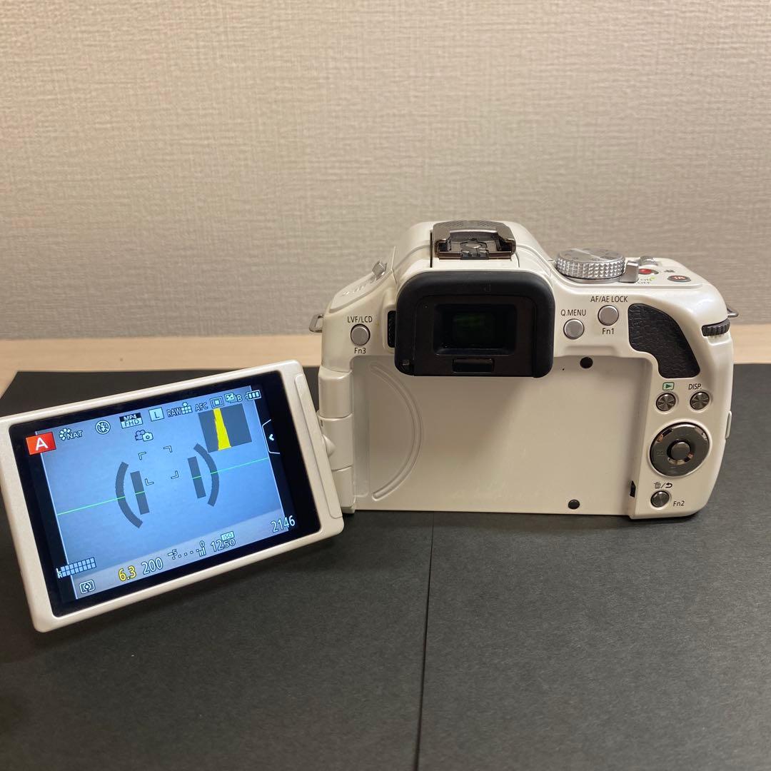 LUMIX G5 動作確認済み　SDカード/カードリーダー付属