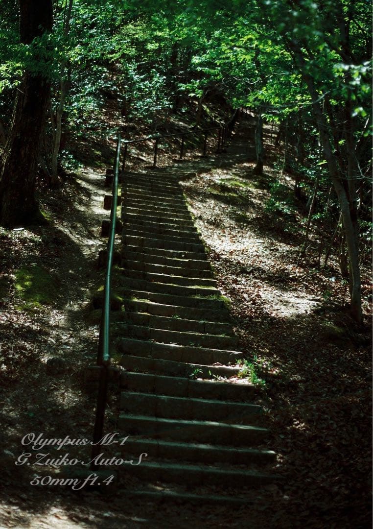 超希少！完動・美品　olympus m-1 &m-system F1.4