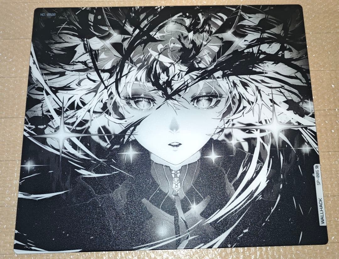 【美品】WALLHACK SP-005 限定版: AWAKENING SORA