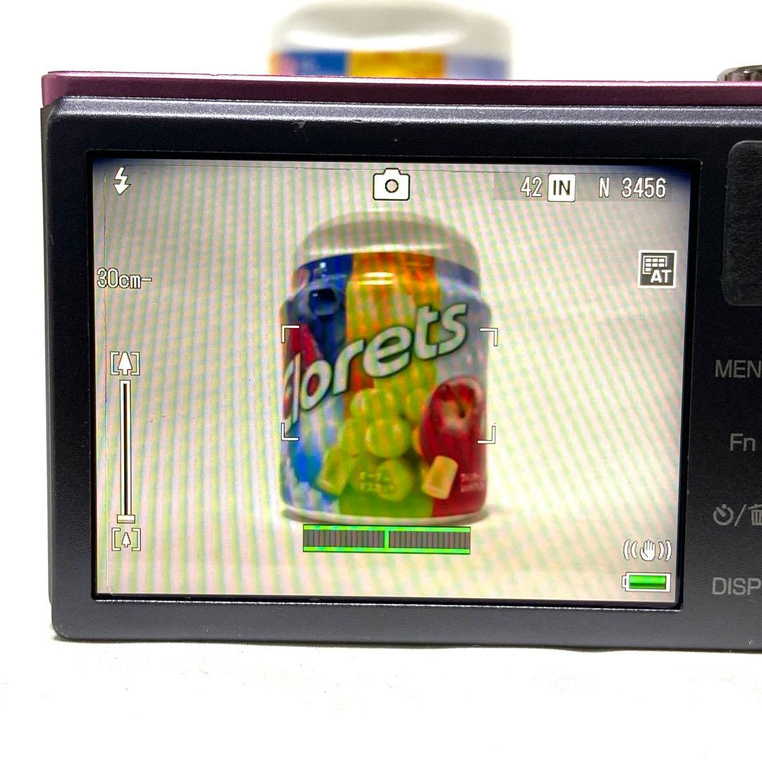 RICOH リコー CX2 ピンク 10.7 X オプティカル ワイド ズーム