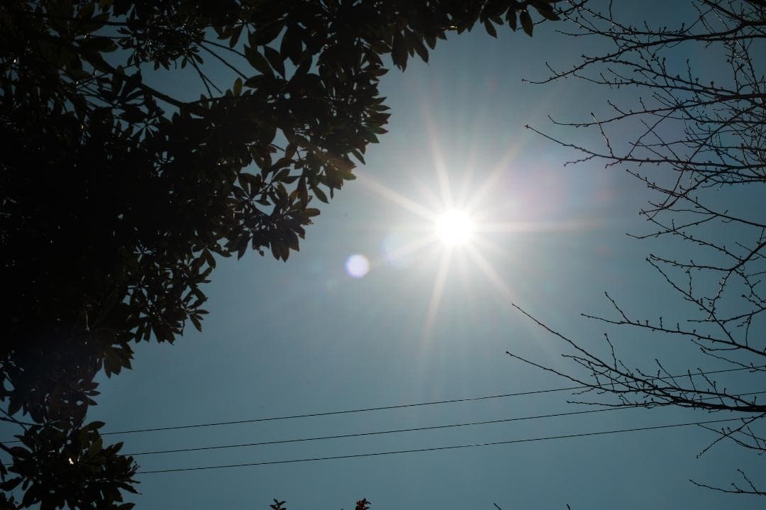 【整備＆テスト済】Nikon Ai-s Nikkor 50mm F1.4 883