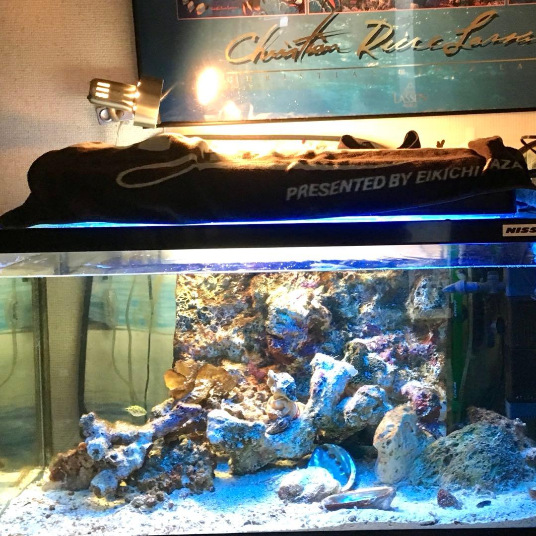 《NISSO》ガラス水槽 中型　75×40×35 LEDライト付き✨