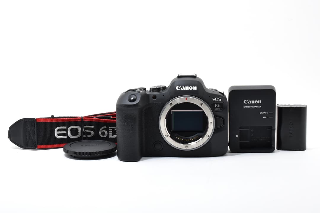 ■極上品■ キヤノン EOS R6 Mark II #C924