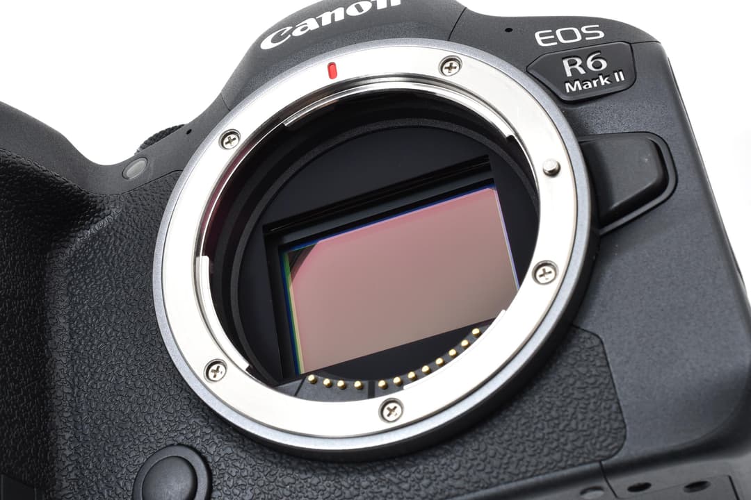 ■極上品■ キヤノン EOS R6 Mark II #C924