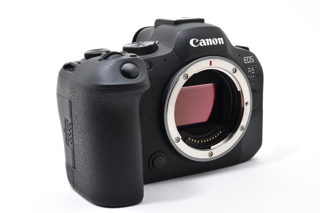 ■極上品■ キヤノン EOS R6 Mark II #C924