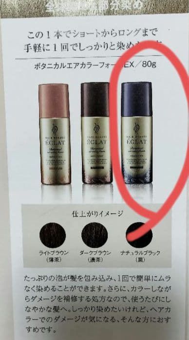 ECLAT ナチュラルブラック ヘアボーテエクラ ボタニカルエアカラー