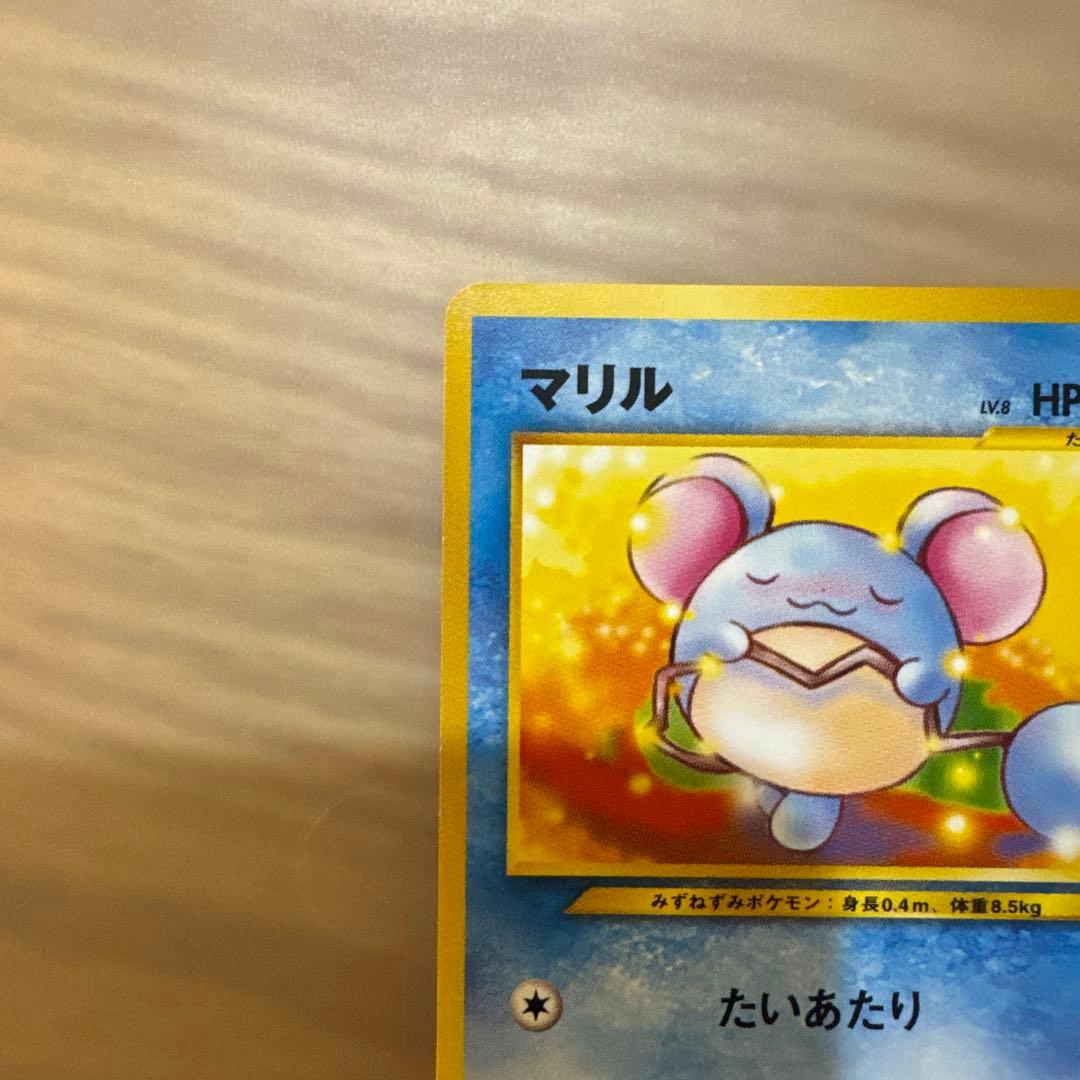 イントロパック neo マリル ポケカ ポケモンカード【6134
