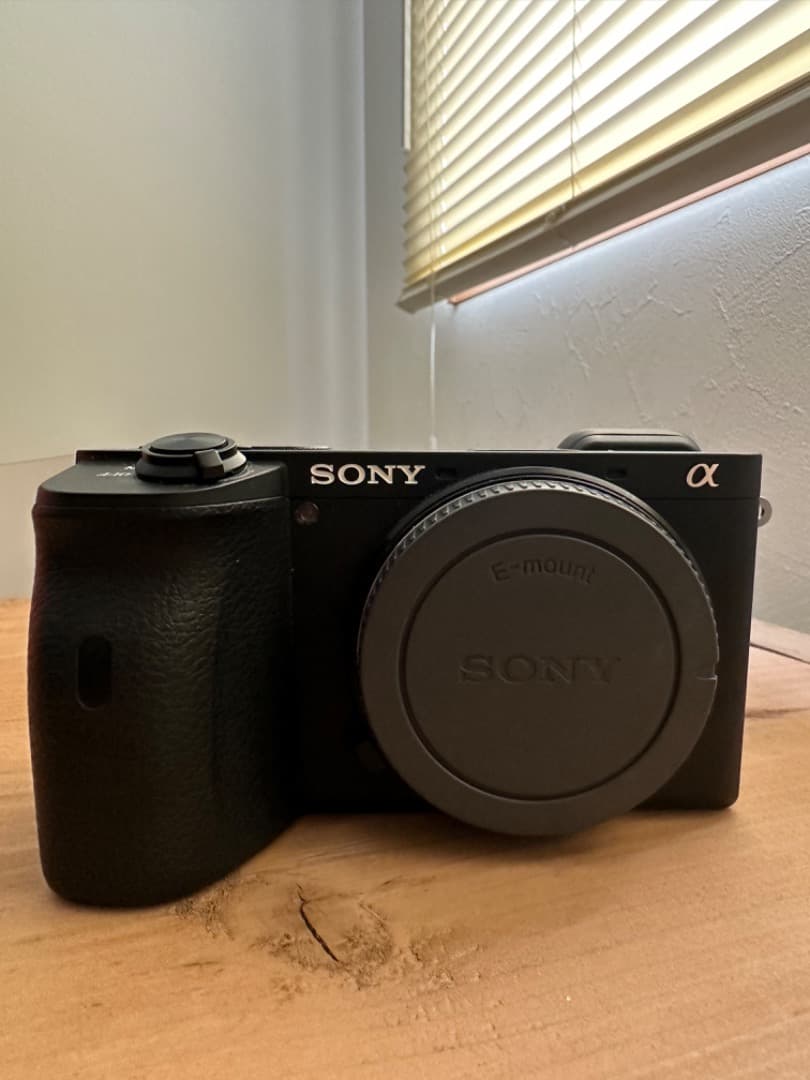 ソニーSONY α6600 ボディILCE-6600