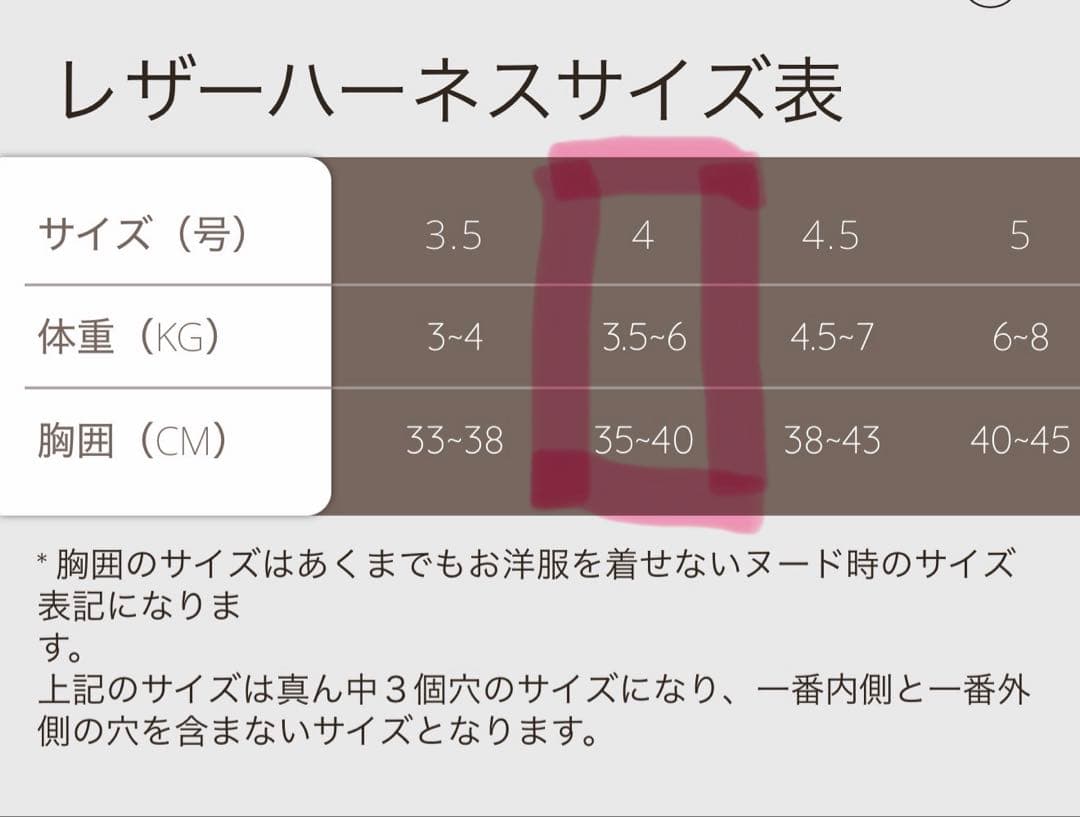 くまくま