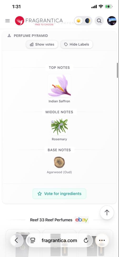 香水(男性用) Reef 33