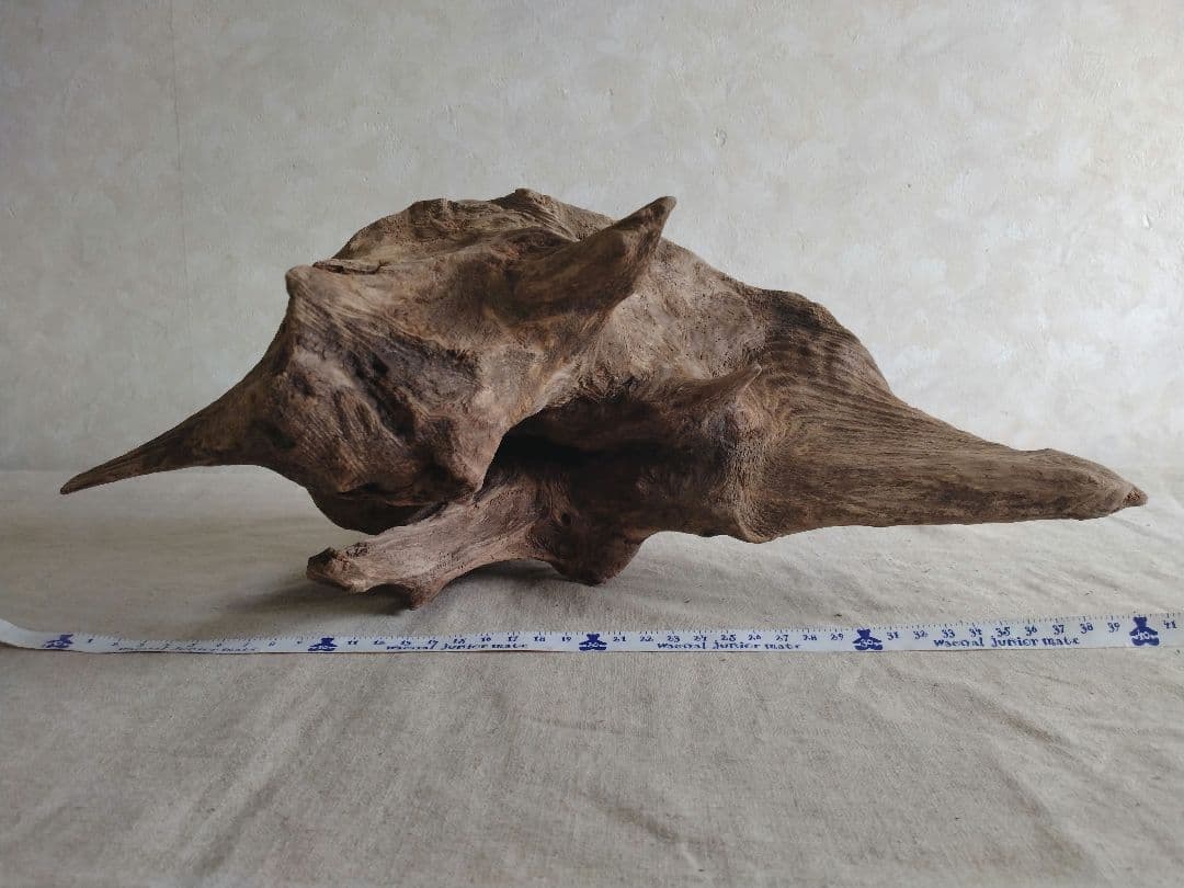 【希少】アクアリウム・パルダリウム・DIY向け 特大ホーンウッド流木 約40cm