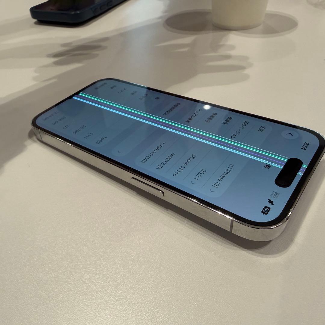 ス*ん様 【画面不良】iPhone14 Pro 256GB シルバー ケース付