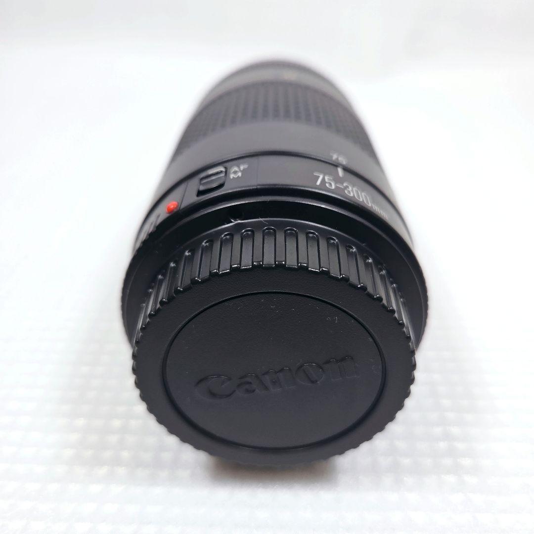 Canon EF 75-300mm F4-5.6 II USM 望遠ズームレンズ