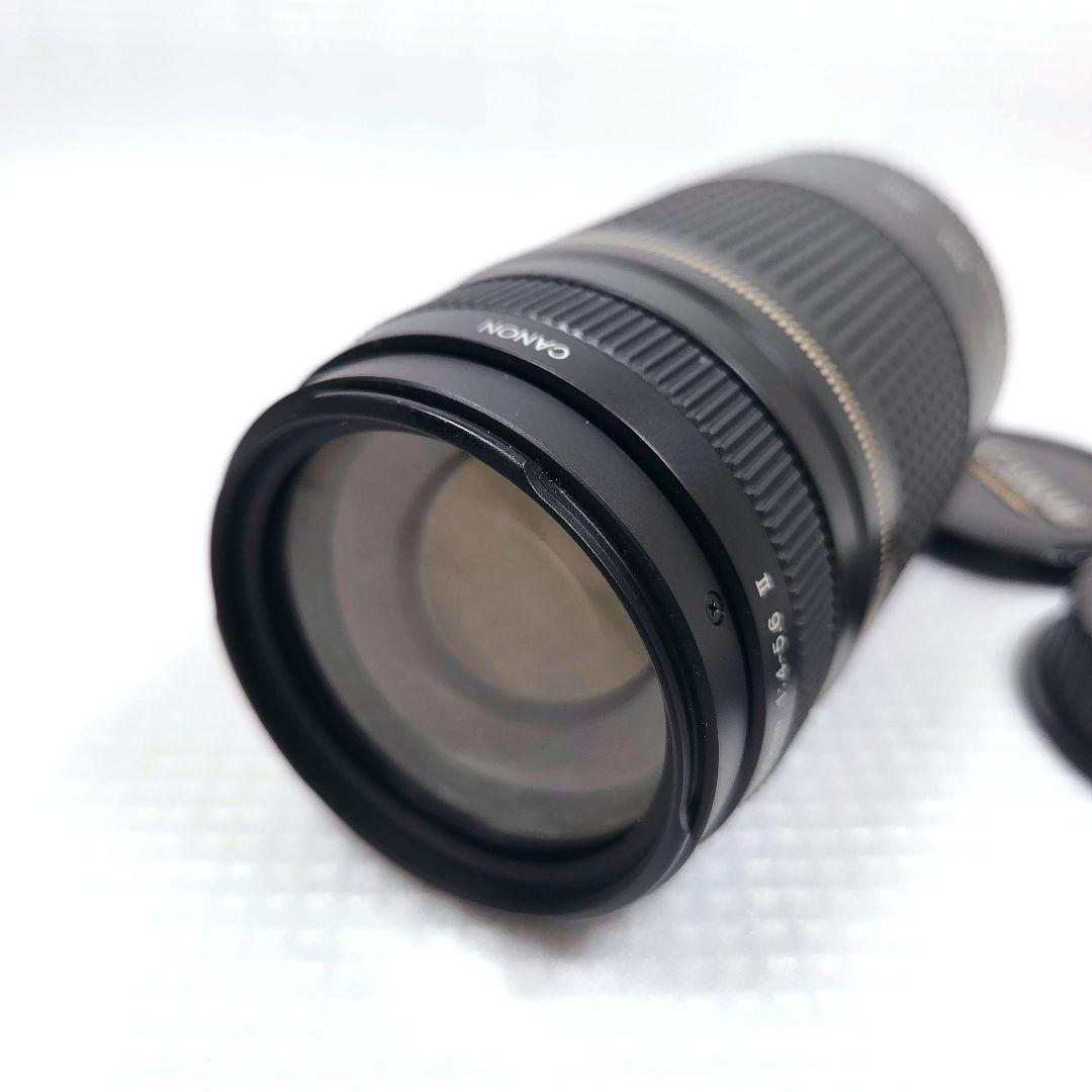 Canon EF 75-300mm F4-5.6 II USM 望遠ズームレンズ