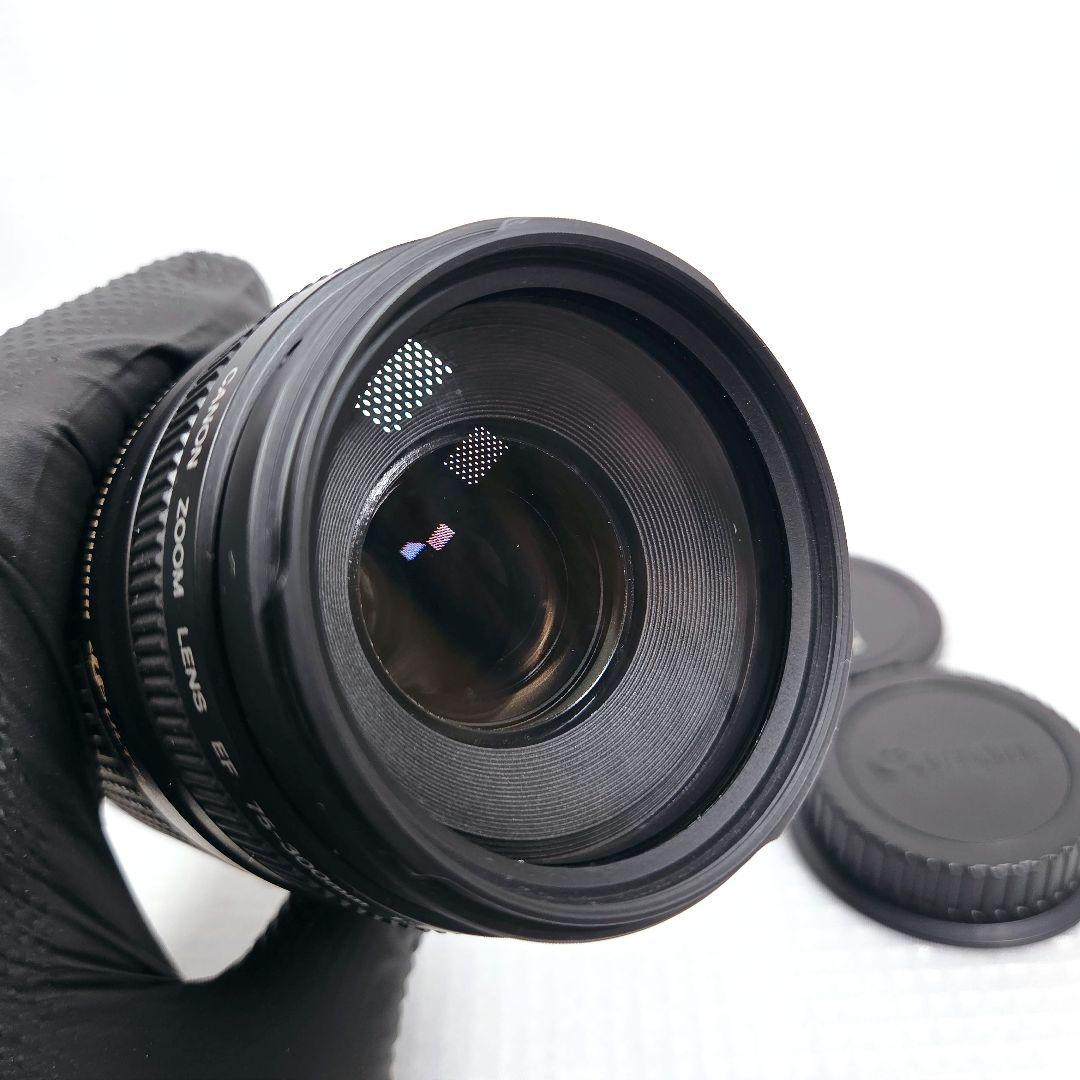 Canon EF 75-300mm F4-5.6 II USM 望遠ズームレンズ