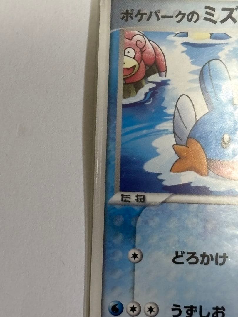 ポケパークのミズゴロウ　未開封