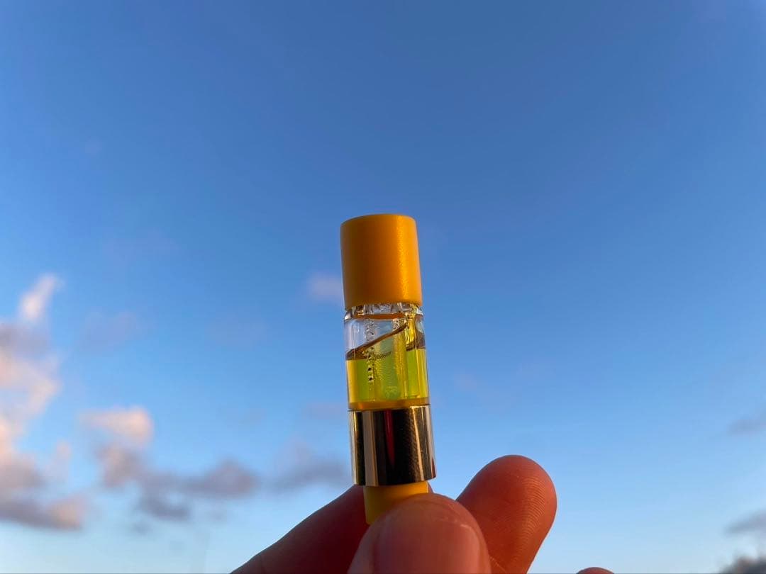 【Sativa】 Jack Herer 1ml CBD 07