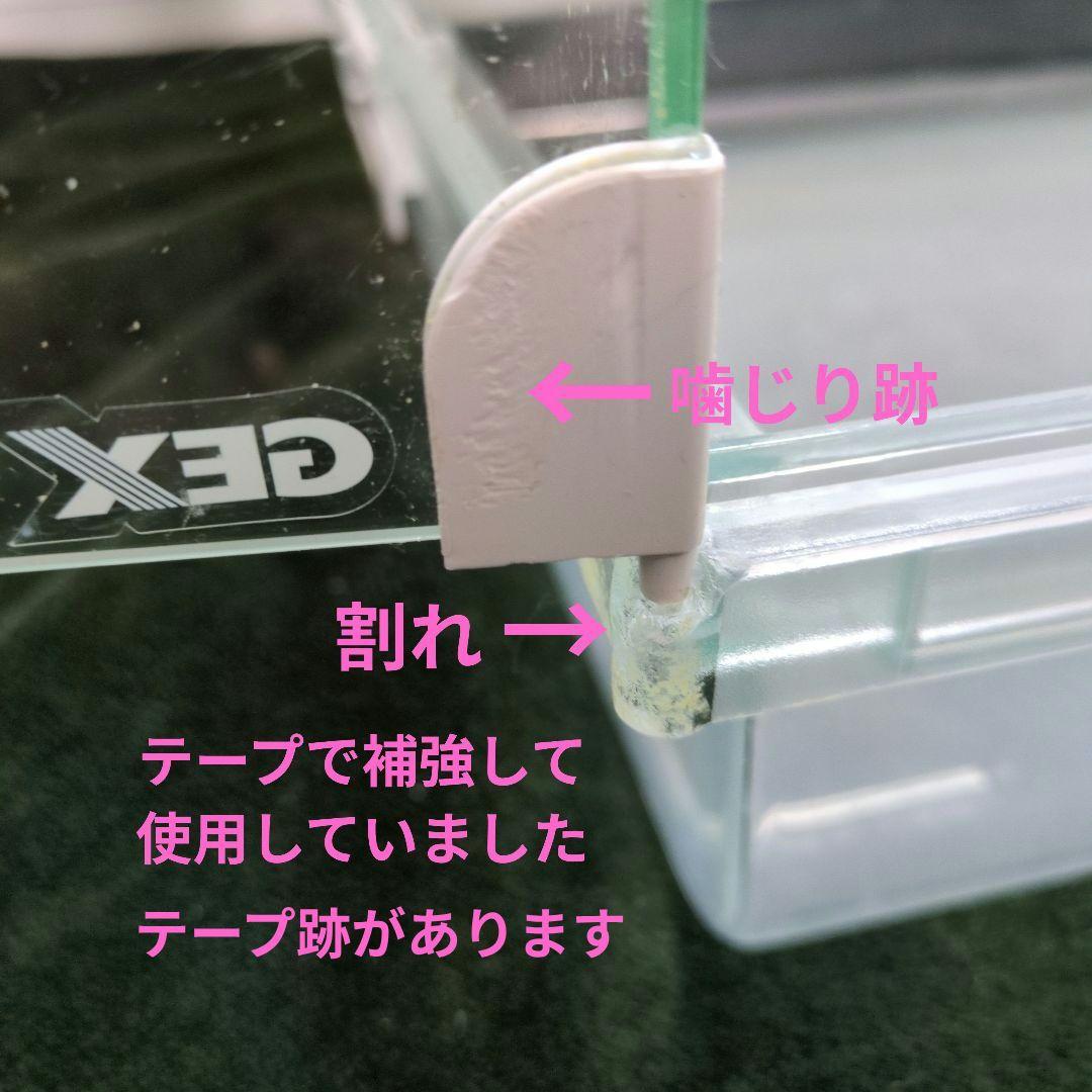 GEX グラスハーモニー600プラス ごはん皿 レストルーム ハムスターケージ