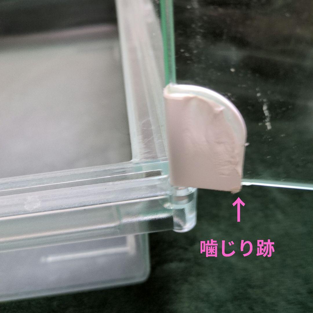 GEX グラスハーモニー600プラス ごはん皿 レストルーム ハムスターケージ