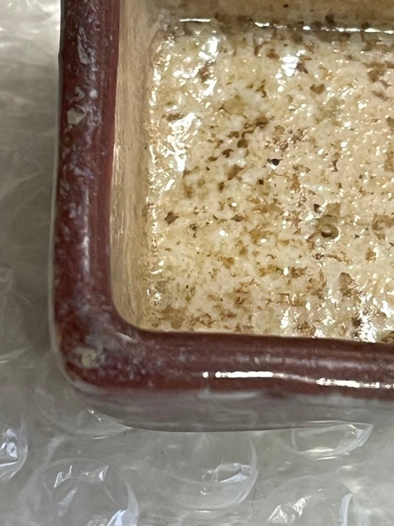 盆栽鉢　植木鉢　陶芸　園芸　盆栽