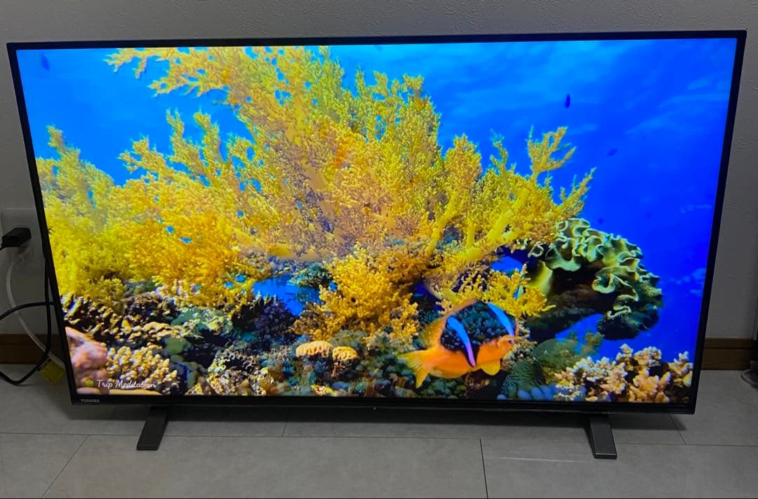 東芝　REGZA 43V型 43C350X 4K 液晶テレビ ネット動画アプリ