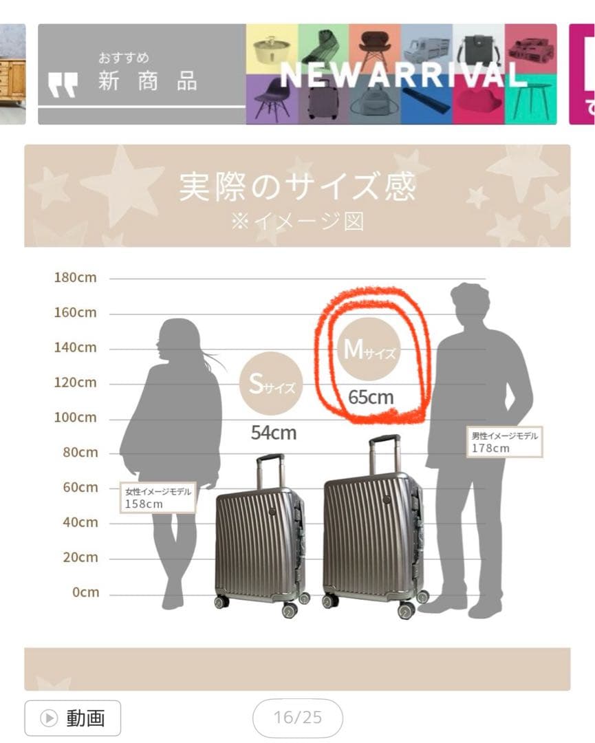 座れるスーツケース Mサイズ60L