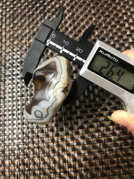 ゴビ石−309 ゴビ瑪瑙　原石