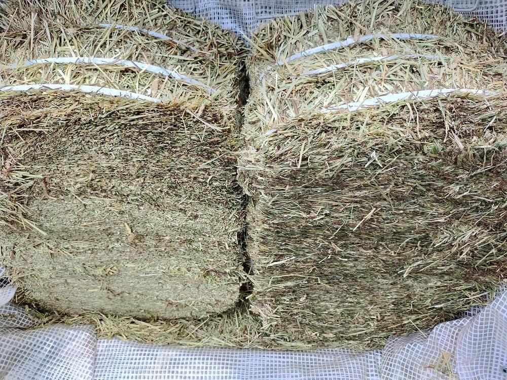 【Y ◎】カナダ産 チモシー 20kg スーパープレミアム １番刈り