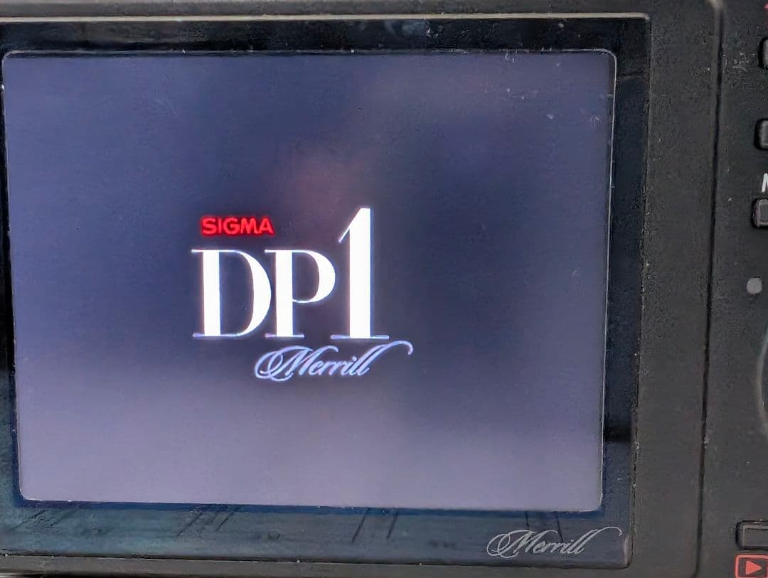 SIGMA DP1 Merrill バッテリー4個 レザージャケット付　最終価格