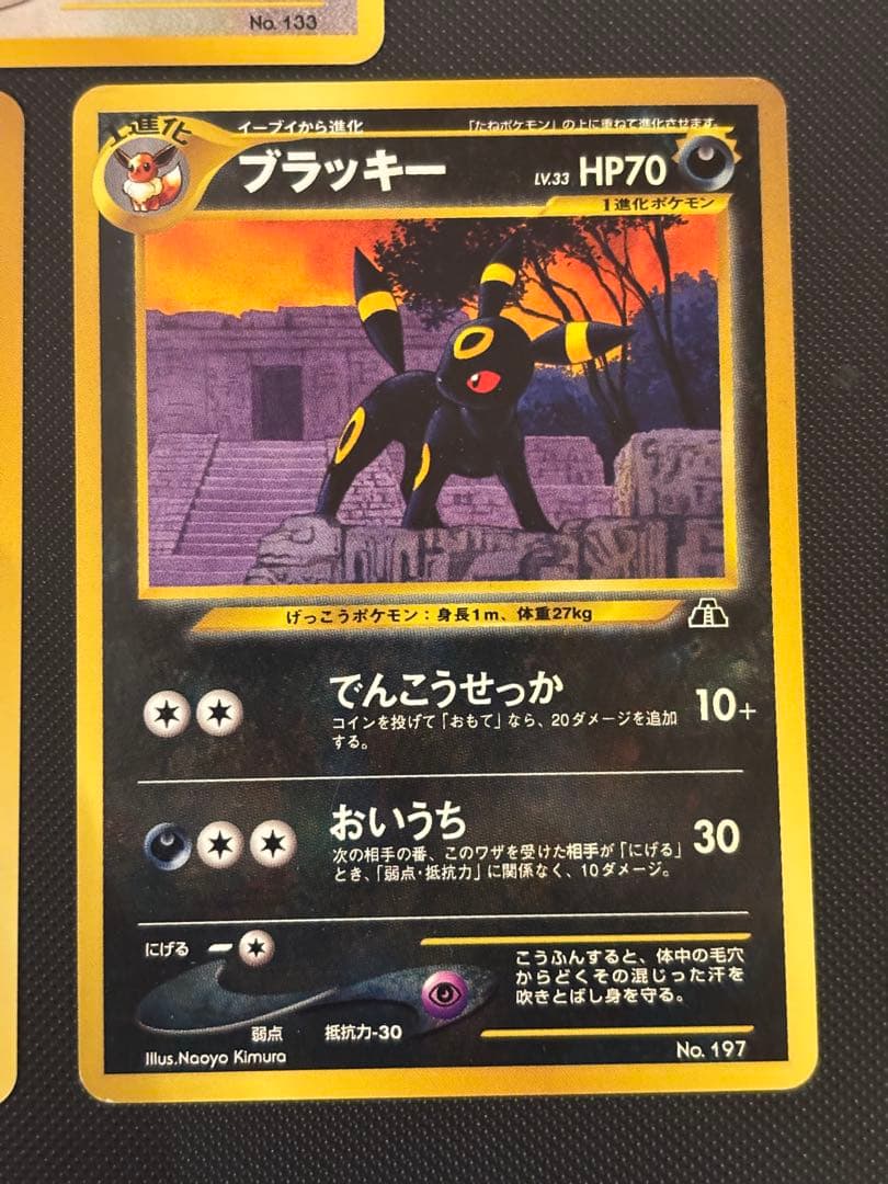 旧裏　美品　ブラッキー　イーブイ　ピチュー　プレミアムファイル2 ★neo 遺跡
