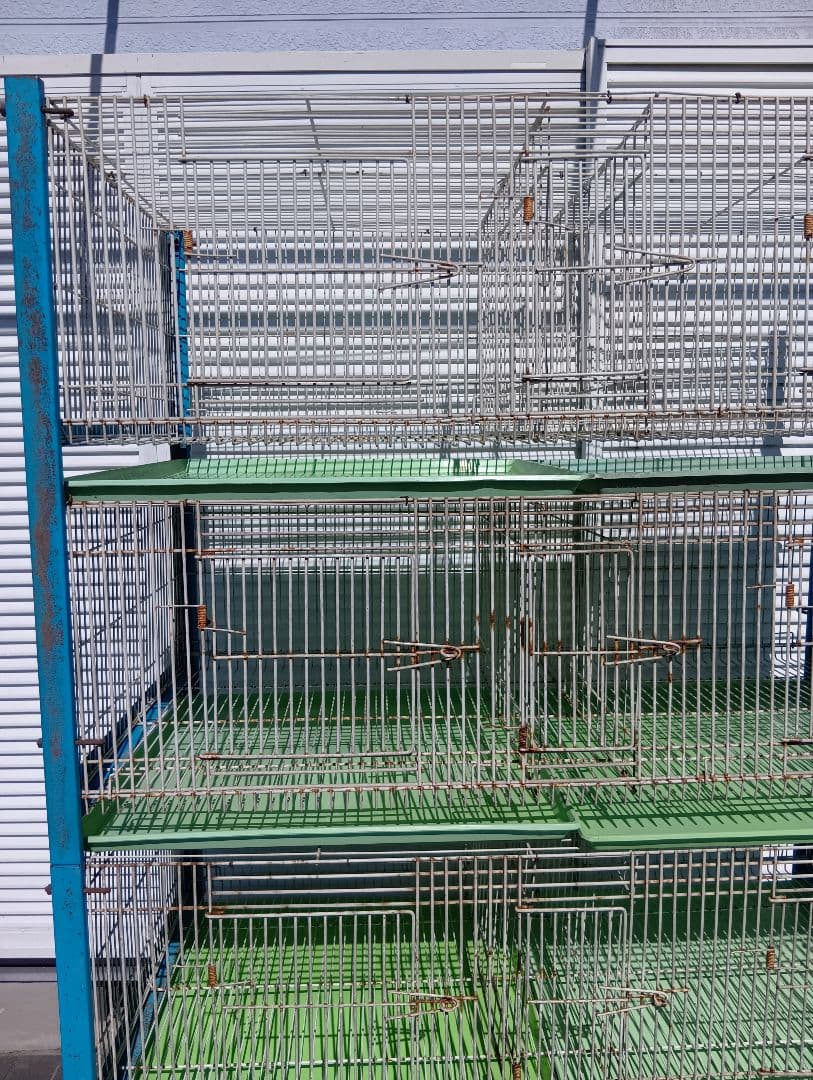 組み立て式　８ペアー用素引きゲージ　レース鳩　小動物交配　繁殖簡単　 愛鳩の友