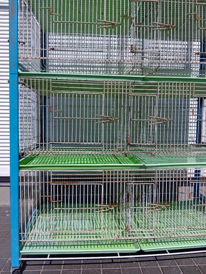 組み立て式　８ペアー用素引きゲージ　レース鳩　小動物交配　繁殖簡単　 愛鳩の友