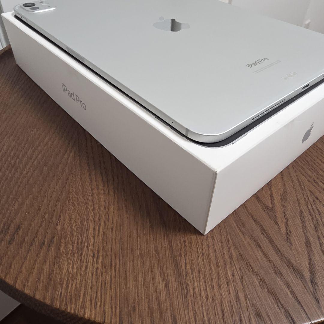 iPad Pro 11インチ Wi-Fi+Cellular 256GB シルバー