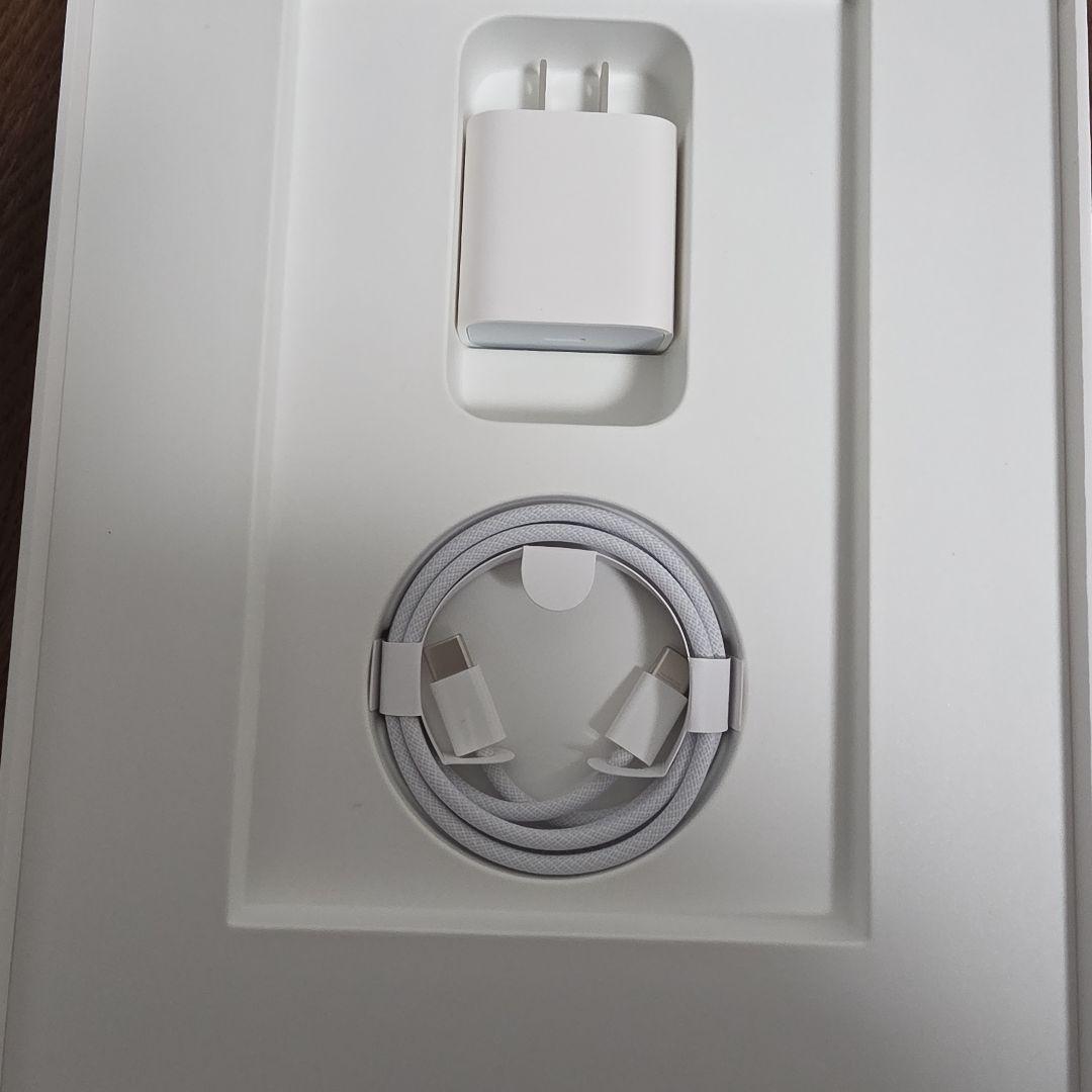 iPad Pro 11インチ Wi-Fi+Cellular 256GB シルバー